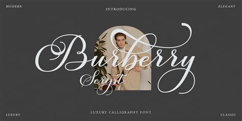 burberry font type|burberry font style.